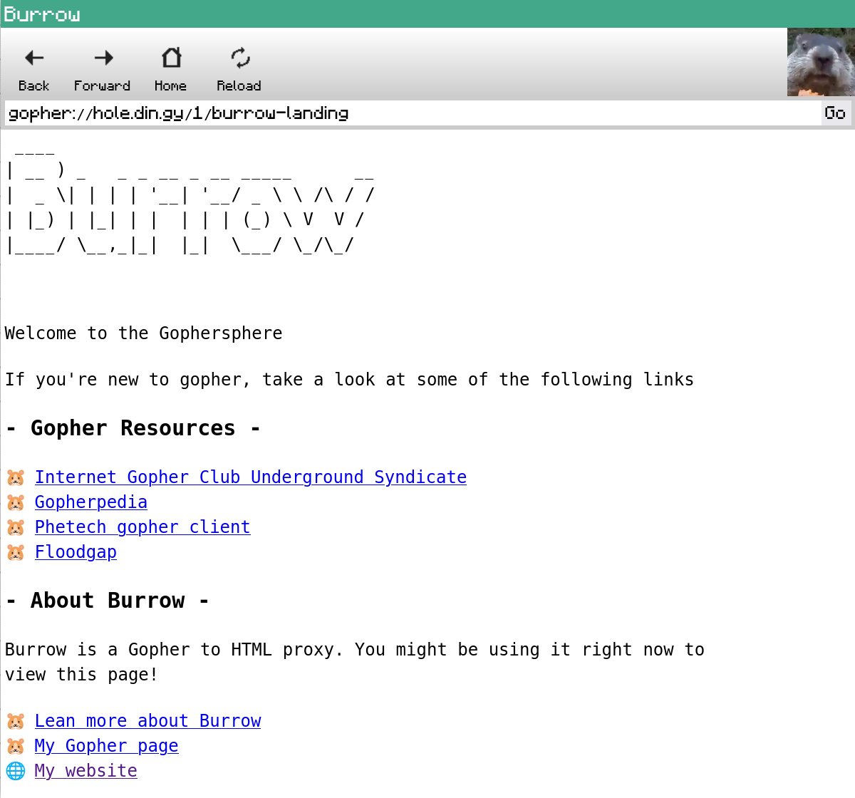 Screenshot of Burrow, a Gopher client in the browser